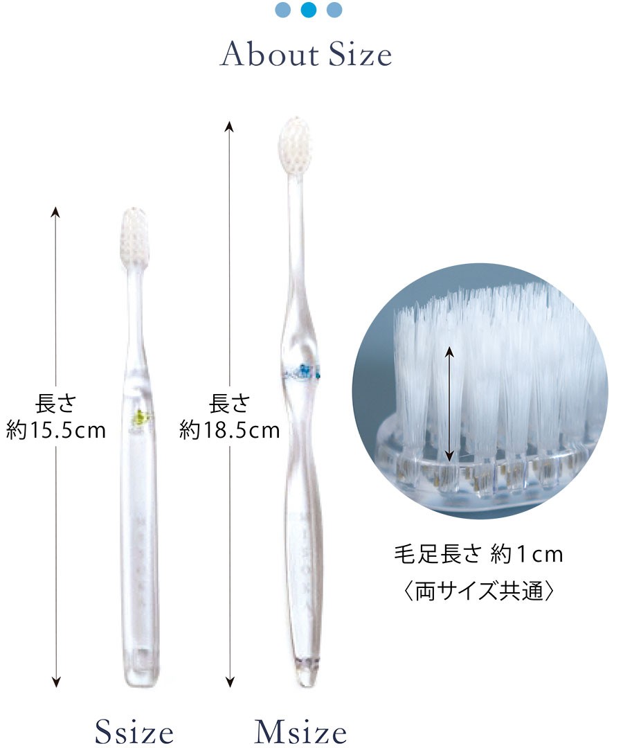 歯ブラシ ハブラシ 高級 歯磨き粉不要 ミソカ MISOKA ツルツル