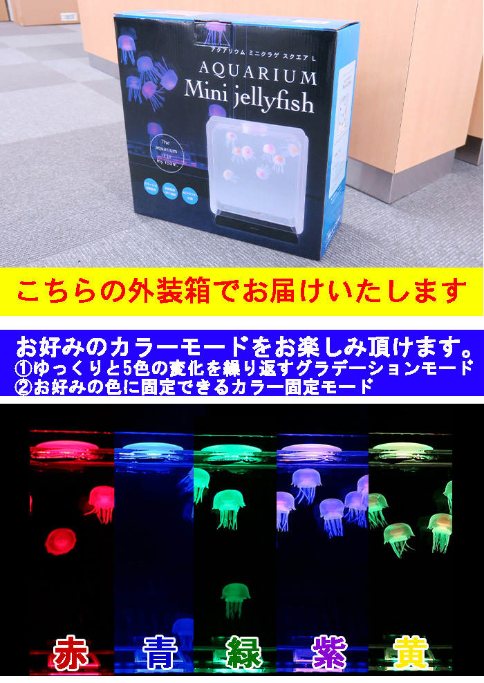 イシグロ アクアリウム ミニクラゲ スクエアM イシグロ アクアリウム ミニクラゲ スクエア M 18158 1個（直送
