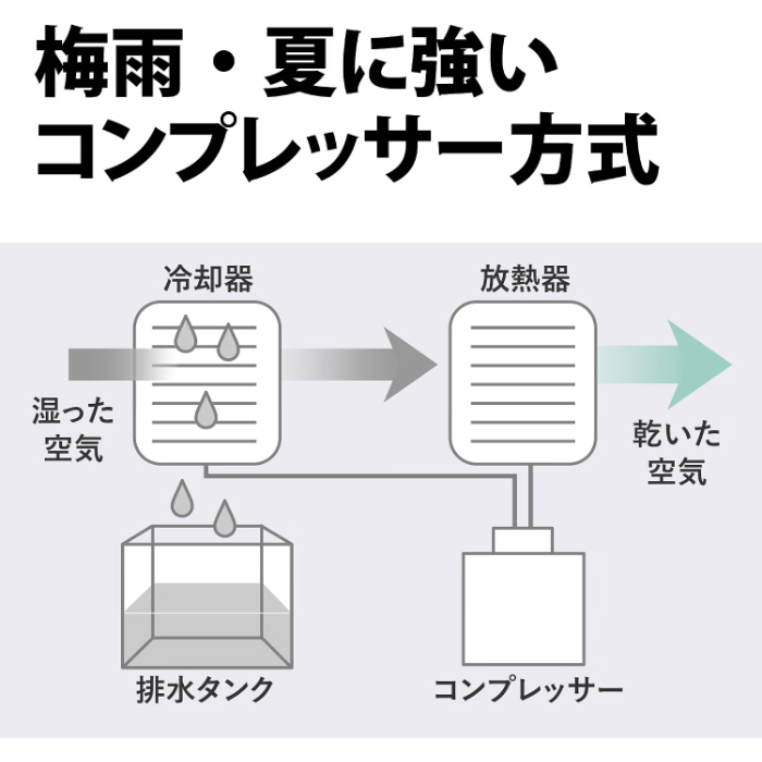 SHARP（シャープ） 衣類乾燥除湿機 コンプレッサー方式 プラズマ