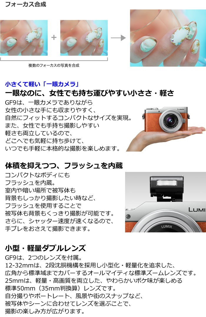 キット パナソニック ミラーレス一眼カメラ ルミックス LUMIX G