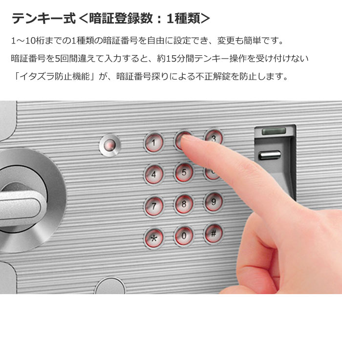 エーコー（EIKO） インテリアデザイン金庫 D-FACEシリーズ 2マルチ