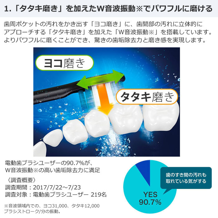 パナソニック 音波振動ハブラシ 電動歯ブラシ 充電式 W音波振動 EW