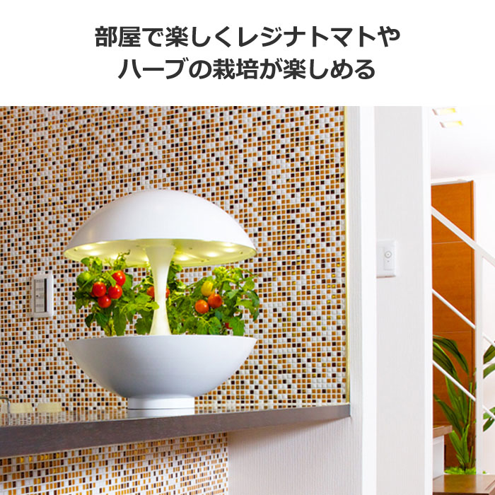 MotoM モトム LED水耕栽培器 灯菜 アカリーナ Akarina01RN OMA01RN2 白 オリンピア照明 : oma01rn2 :  PCあきんど - 通販 - Yahoo!ショッピング