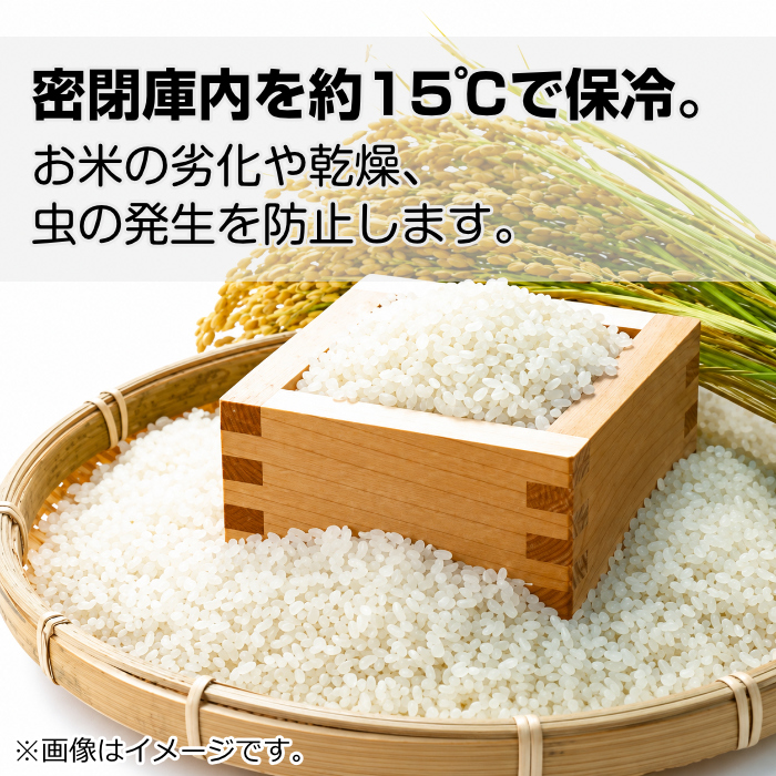SANKA サンカ 保冷米びつ 白米 約11kg SRC-011WH ホワイト : PC
