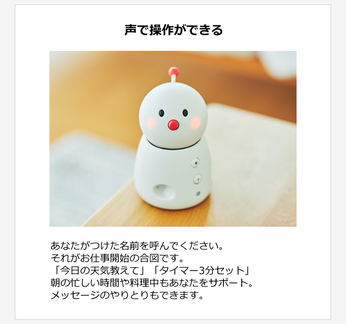 ユカイ工学 コミュニケーションロボット BOCCO emo ボッコ エモ YE