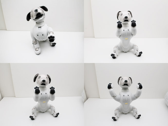 aibo SONY ERS-1000 アイボ AIロボット 犬型ロボット ペットロボット