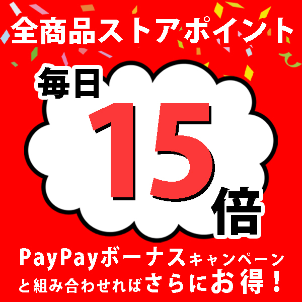 直販卸売 (業務用100セット) Nagatoya カラーペーパー/コピー用紙 〔A3