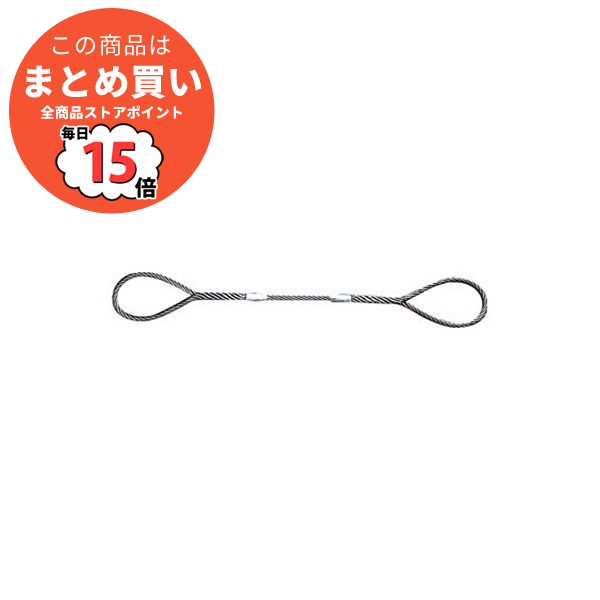(まとめ) TRUSCO Wスリング Aタイプ 6mm×2.5m GR-6S2.5 1本 〔×3セット〕