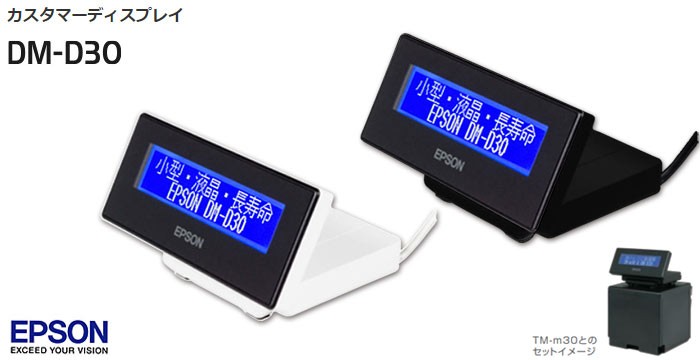 エプソン（EPSON） 【エプソン正規代理店】エプソン DM-D30W202 液晶