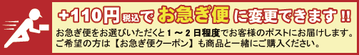 +110円(税込)でお急ぎ便に変更できます。