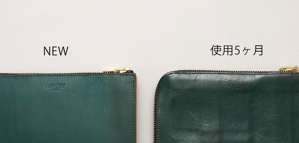 ミネルバリスシオ