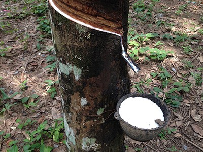 ラテックス枕 肩こり防止枕