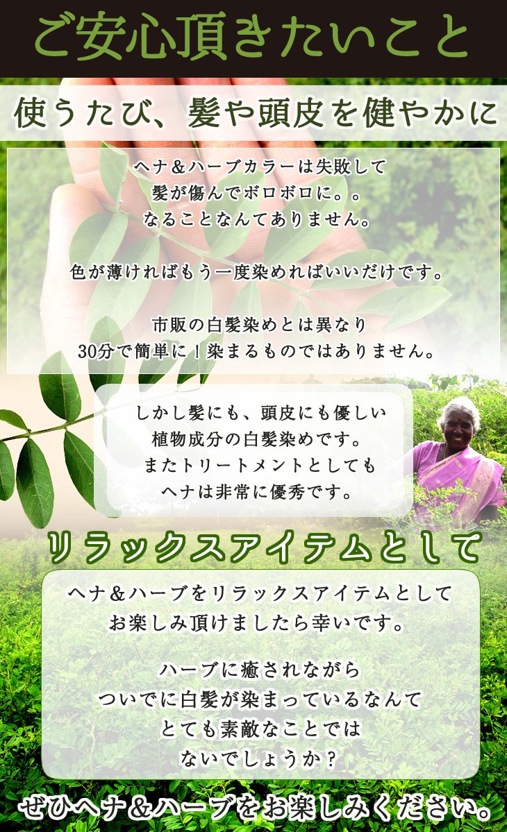 白髪染め 天然ヘナ ハーブ100g×10袋(1.0kg)エムズハーブ同色10個セット