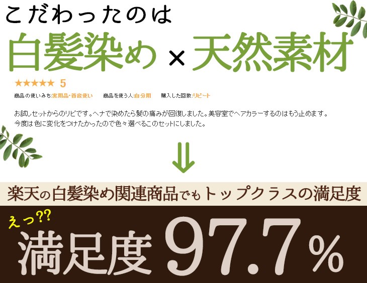 白髪染め 天然ヘナ ハーブ100g×5袋(500g)エムズハーブお得な5個セット