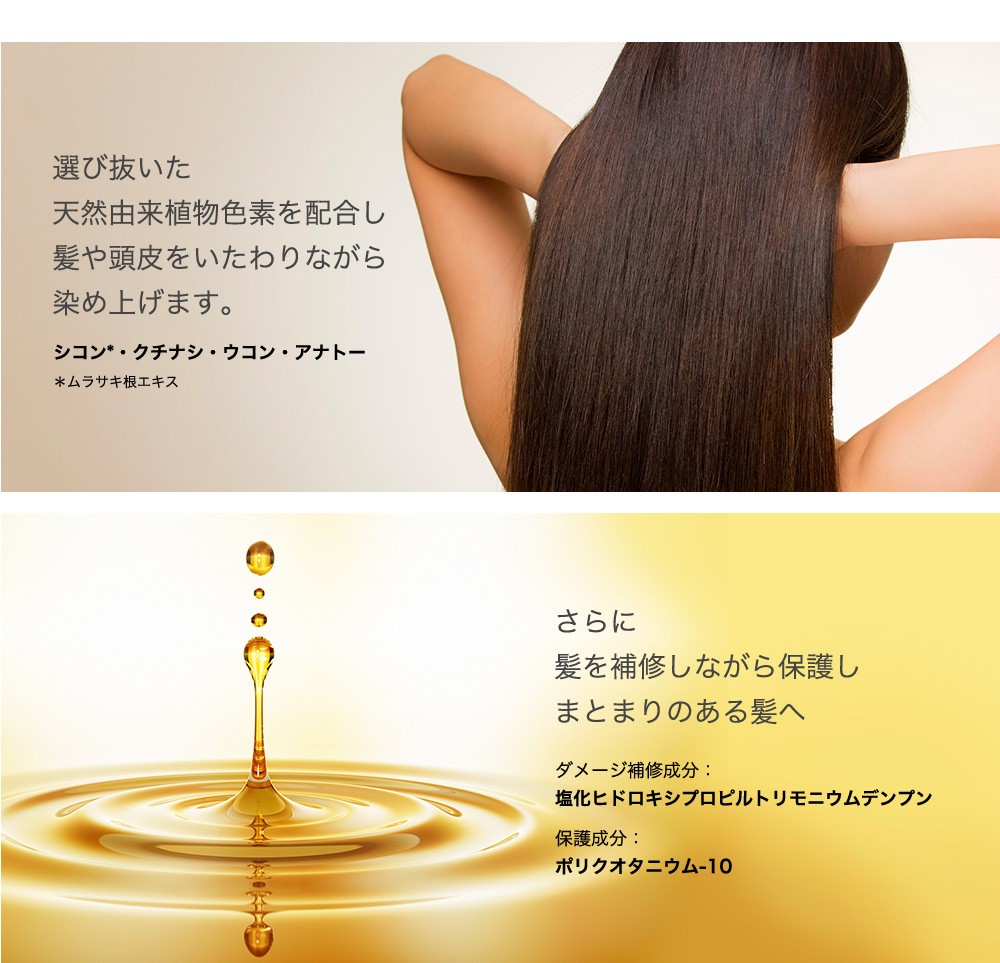 ヘアカラートリートメント 【送料無料】エムズハーブカラートリートメント彩-sai-500g×1本 白髪 生え際 黒く