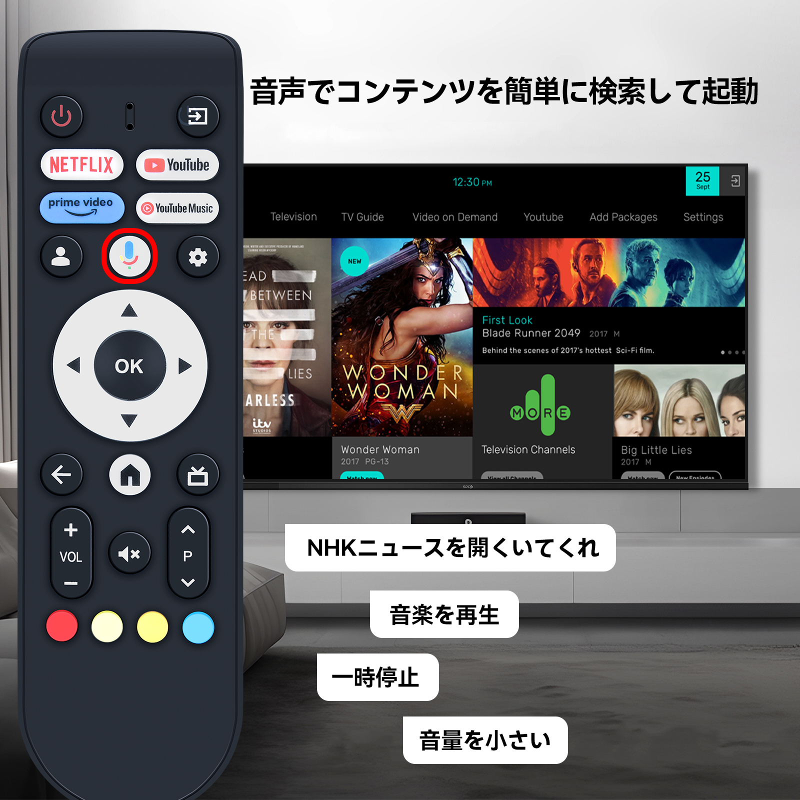 テレビリモコン for FPD チューナーレステレビ スマート テレビ43V型