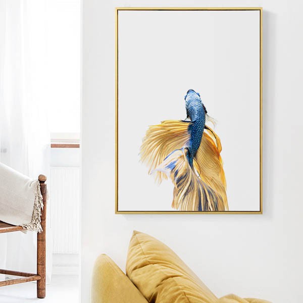 aff-fish-5.jpg