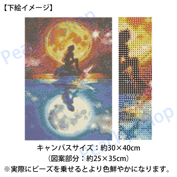 中級 フル ダイヤモンドアート キット ビーズ刺繍 人魚姫 マーメイド