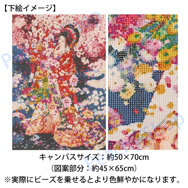 ds-293-3.jpg