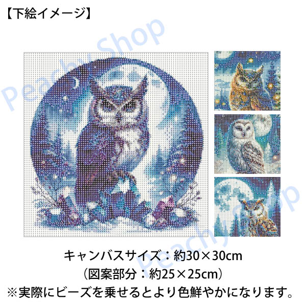 ダイヤモンドアート Bright owl 輝いているフクロウ梟 ds-450-6.jpg