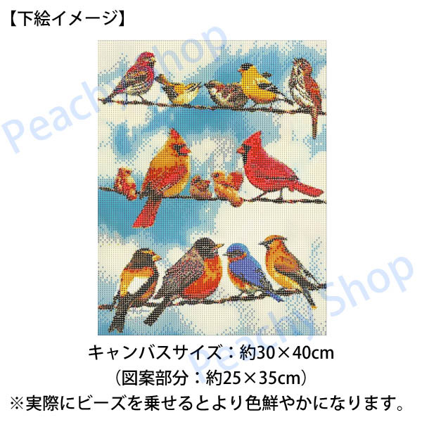 中級 フル ダイヤモンドアート キット ビーズ刺繍 小鳥 電線 鳥の集会