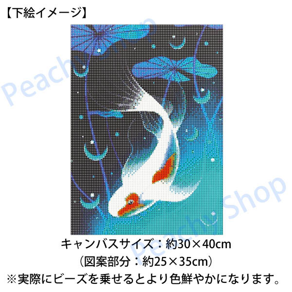 ds-c5587-3.jpg