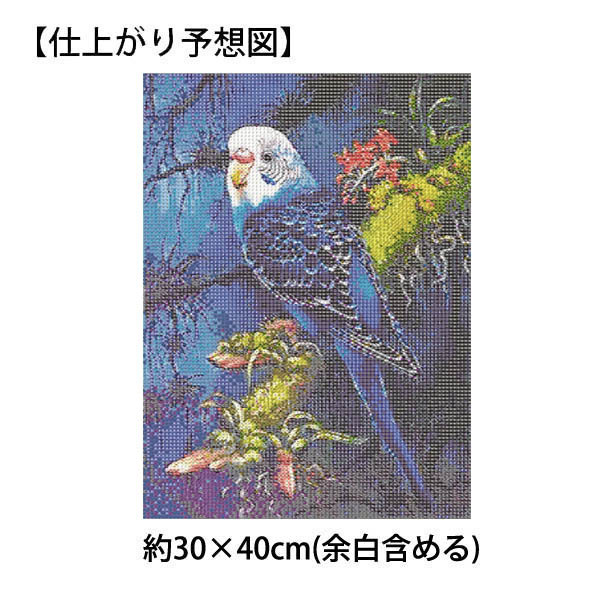 Amazon | ダイヤモンドアート シマエナガ 鳥柄 DIYダイヤモンド