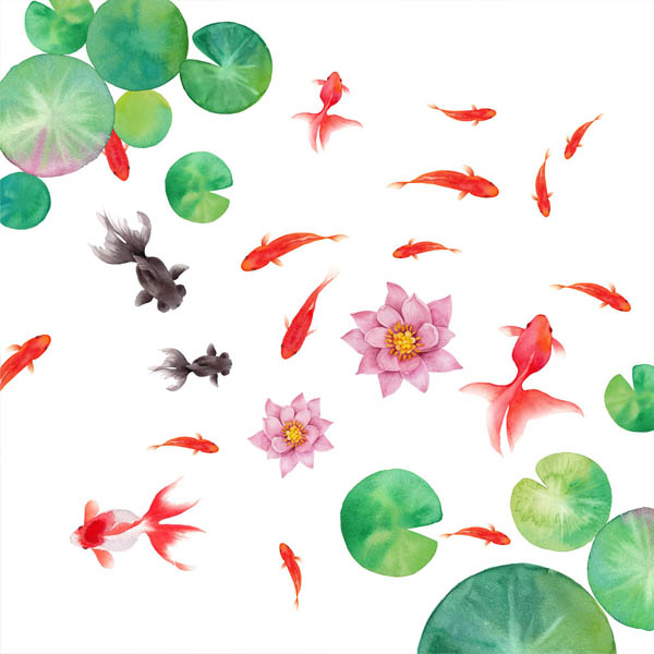 ウォールステッカー 池 金魚 涼しげ アジアンテイスト 和風 蓮