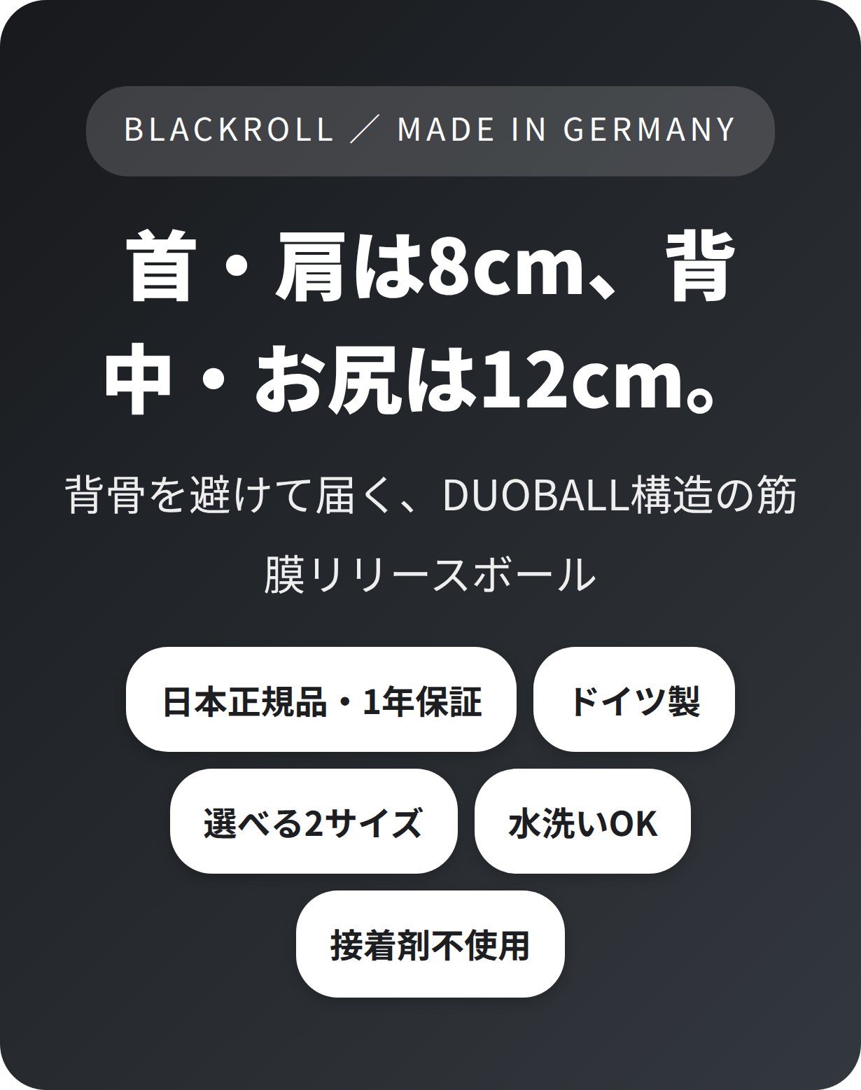 ブラックロール フォームローラー ストレッチボール DUO BALL 12