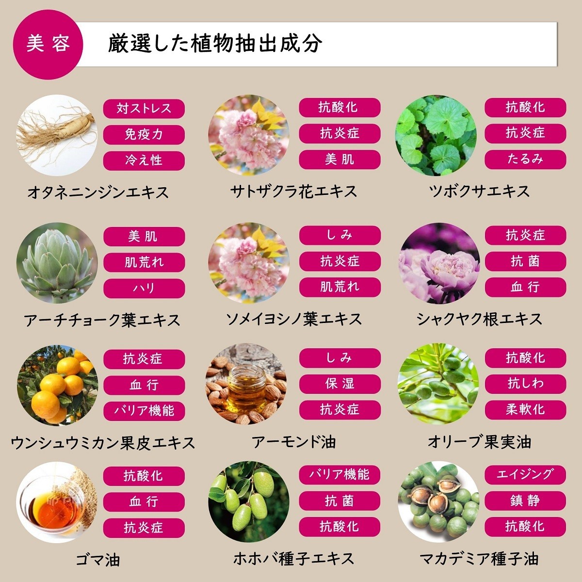 デリケートゾーン V I O ライン ひだ 粘膜部分 しわ たるみ 引締め ケア 美容液 Vionee センシティブ プロテクトセラム ハリ 弾力 潤い Vionee001 Peqlia 通販 Yahoo ショッピング