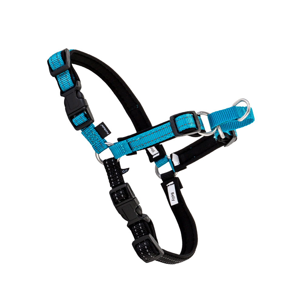 PetSafe 【並行輸入品】 ペットセーフ 犬用 デラックス イージー 