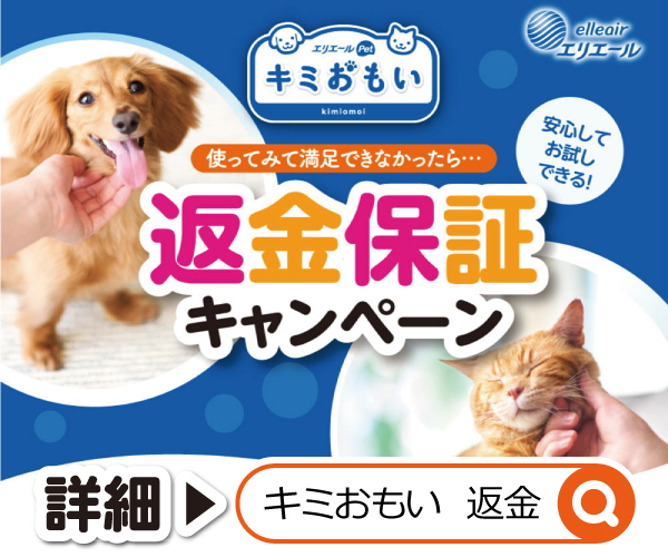 エリエール Pet 【26枚×2袋】キミおもい アクティブウェア M〜L パンツ