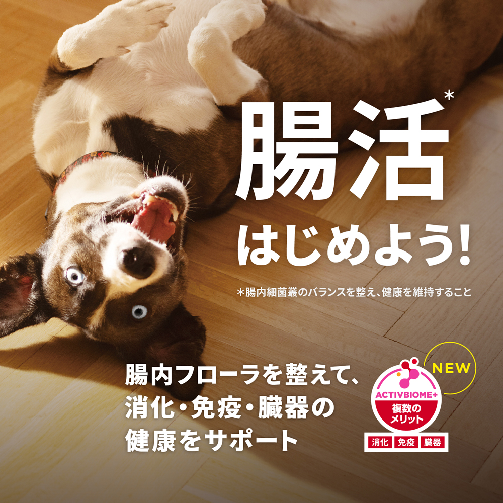 サイエンス・ダイエット ヒルズ 小型犬用 シニア プラス 10歳以上 高齢
