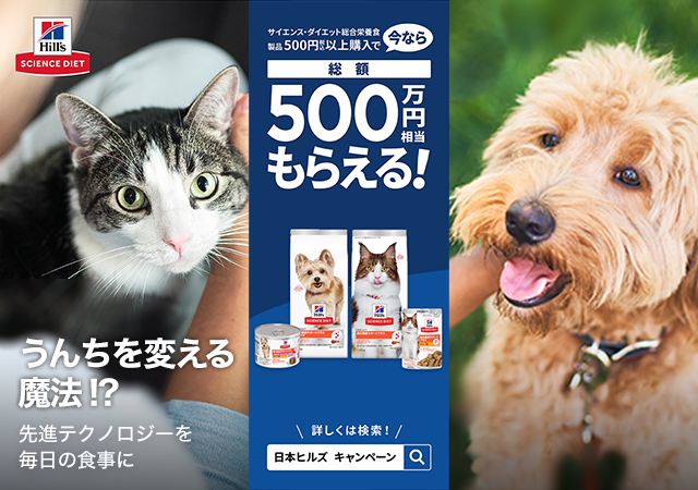 ヒルズキャンペーン