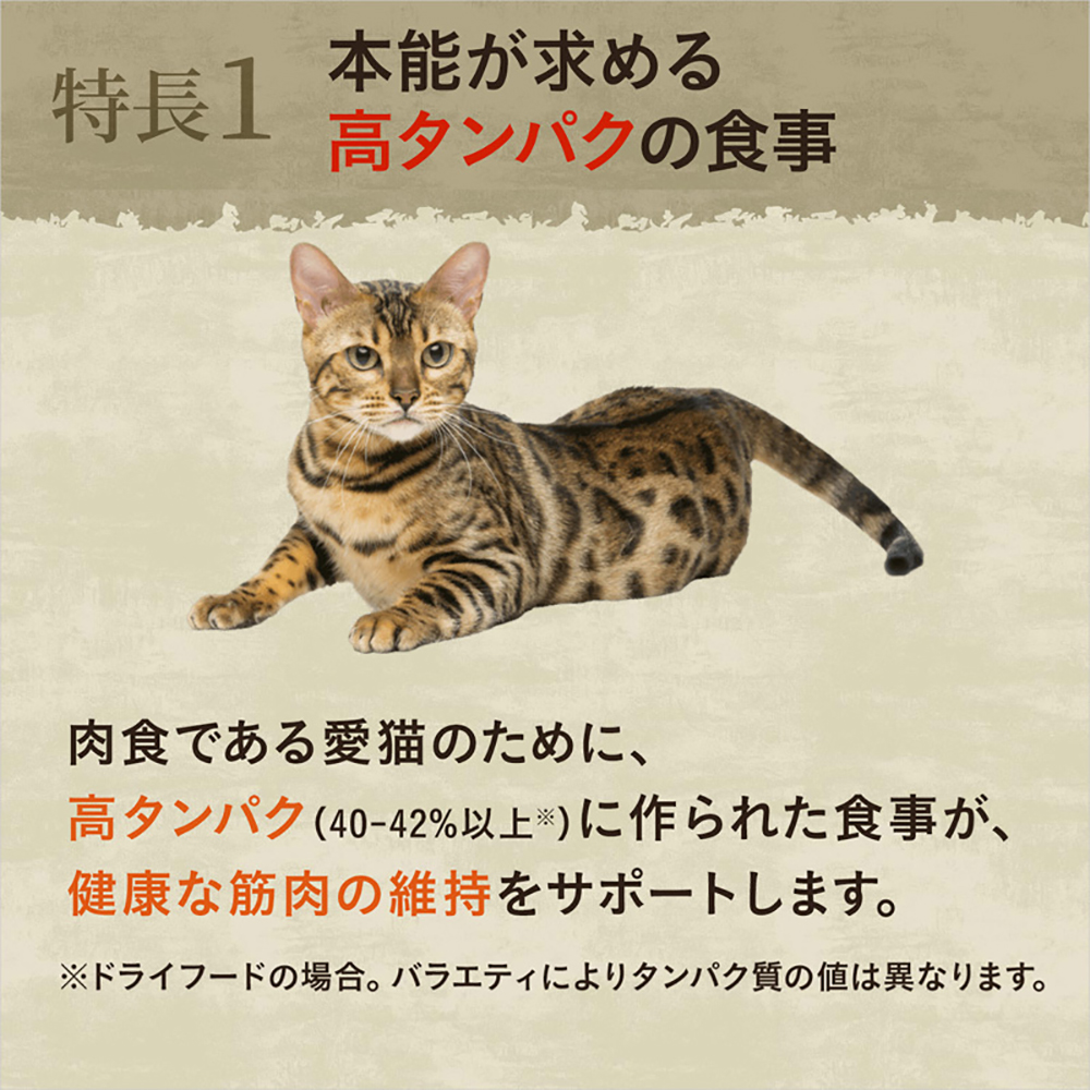 【2kg×3袋】ニュートロ ワイルドレシピ キトン チキン 子猫用(猫・キャット)[正規品]｜pemos｜04