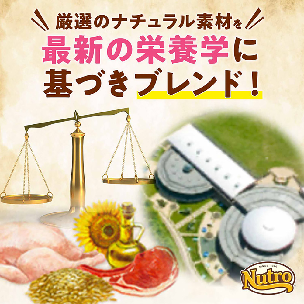 ニュートロ ナチュラル チョイス ラム玄米 2キロ