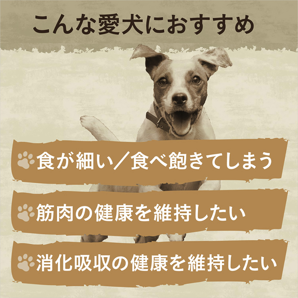 ニュートロ ワイルドレシピ 超小型犬〜小型犬 子犬用 ターキー 4kg(犬・ドッグ)[正規品]｜pemos｜07