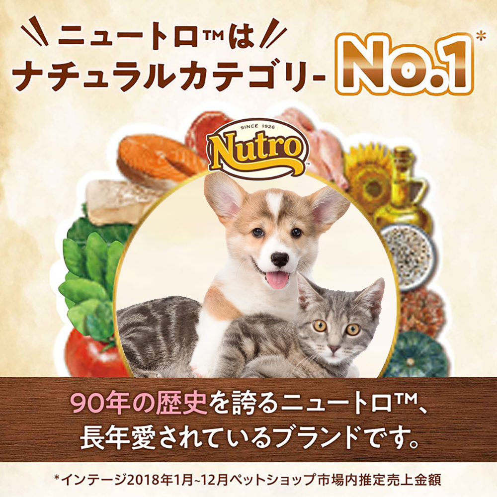 ニュートロ ワイルドレシピ キトン チキン 子猫用 2kg(猫・キャット 
