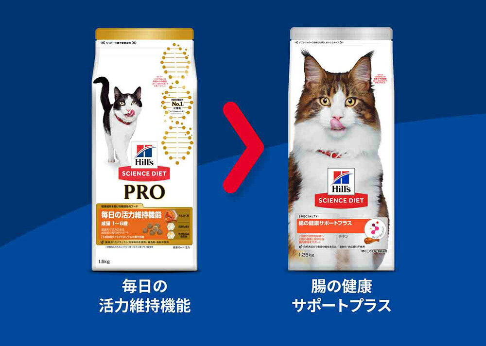 サイエンスダイエットプロ 毎日の活力維持機能 成猫 1～6歳 ３ｋｇ Amazon | サイエンスダイエット プロ キャットフード 毛玉排出