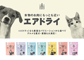 イティ