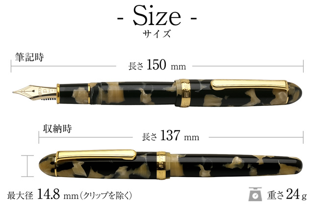 プラチナ万年筆 万年筆 名入れ ＃3776 センチュリー セルロイド