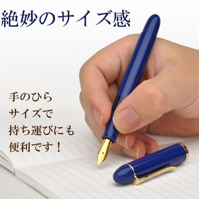 Pelikan(筆記具) 万年筆 ペリカン PELIKAN 特別生産品 限定品 Pelikan(筆記具) 万年筆 ペリカン PELIKAN 特別生産品 限定品