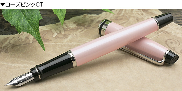 WATERMAN（ウォーターマン） 万年筆 名入れ 18K 18金 エキスパート