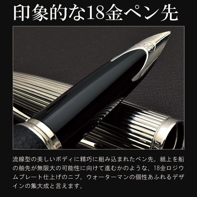 万年筆 ウォーターマン 名入れ ギフト 無料 Waterman 万年筆 限定品 カレン スペシャルエディション ブランド プレゼント ギフト 誕生日 父の日 425 万年筆 ボールペンのペンハウス