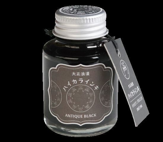寺西化学工業 ボトルインク ギター 大正浪漫 ハイカラインキ