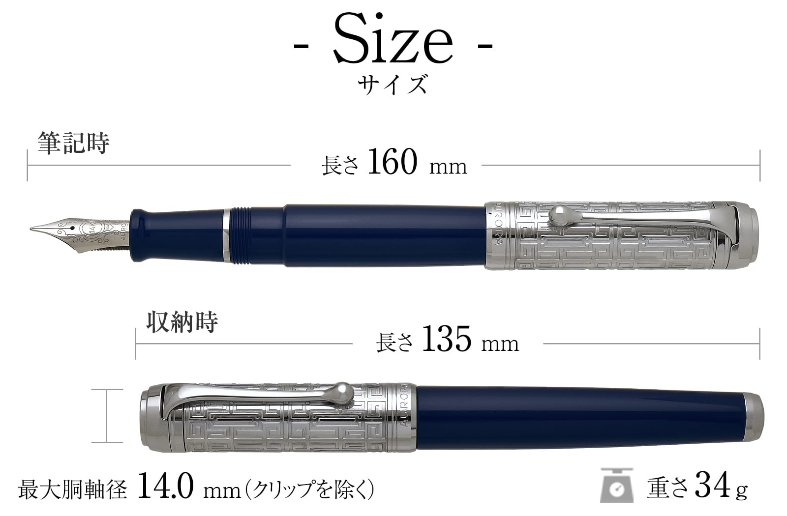 アウロラ（AURORA） 限定品 万年筆 タレンタム・デダーロ・ブルー D11
