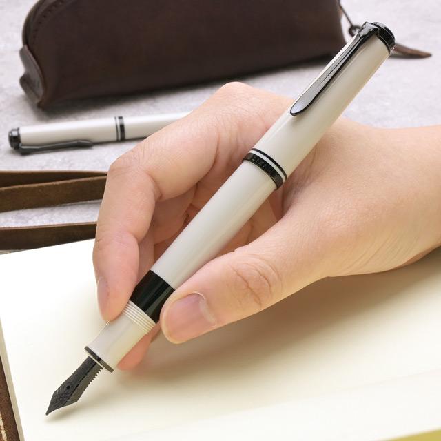 Pelikan（ペリカン） 万年筆 スーベレーン M670 ウォームグレー 14金