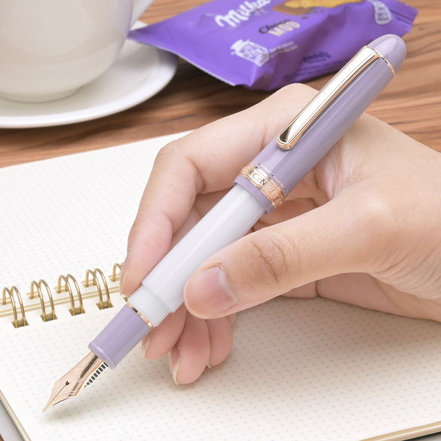 PLATINUM（プラチナ万年筆）限定品 万年筆 ＃3776 センチュリー マイ・フェイバリット・シングス ミスティブルーム