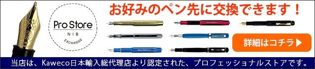 万年筆 カヴェコ KAWECO スチールペン先ゴールド / 高級 ブランド おすすめ 男性 女性 おしゃれ :31404:万年筆・ボールペンのペンハウス  - 通販 - Yahoo!ショッピング