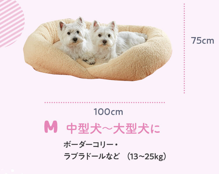 犬 猫 ベッド 抗菌防臭ふんわりスクエアベッド Ｍ ペット 冬 ベッド